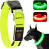LED Dog Collar - Adjustable, Rechargeable, Waterproof