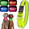 Light up Dog Collar, USB Rechargeable