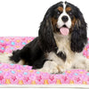 Dog Bed Crate Pad Ultra Soft Pet Bed with Cute Star Print Washable Crate Mat for Large Medium Small Dogs Reversible Fleece Dog Crate Kennel Mat Cat Bed Liner 29 X 21 Inch Pink