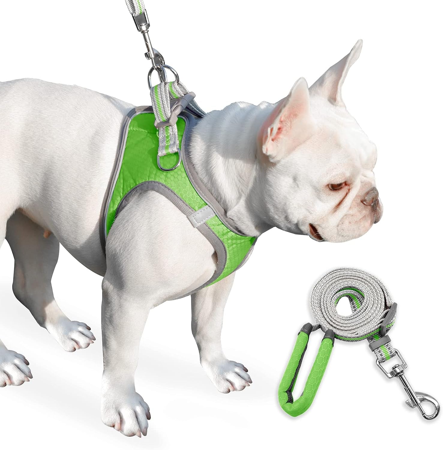 Dog Harness, Dog Harness and Leash Set, Pet Vest Harness, Puppy Cat Vest Harness Escape Proof, Chihuahua Harness, XXS Puppy Harness, Dog Vest Harnesses for Small Dogs Cats (A-1-Green, XXXS)