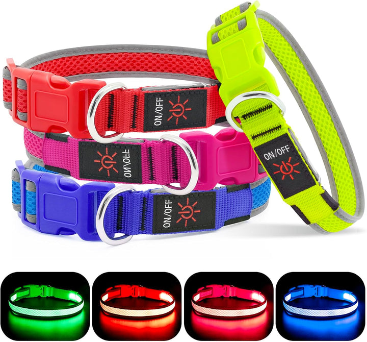 Light up Dog Collar, USB Rechargeable