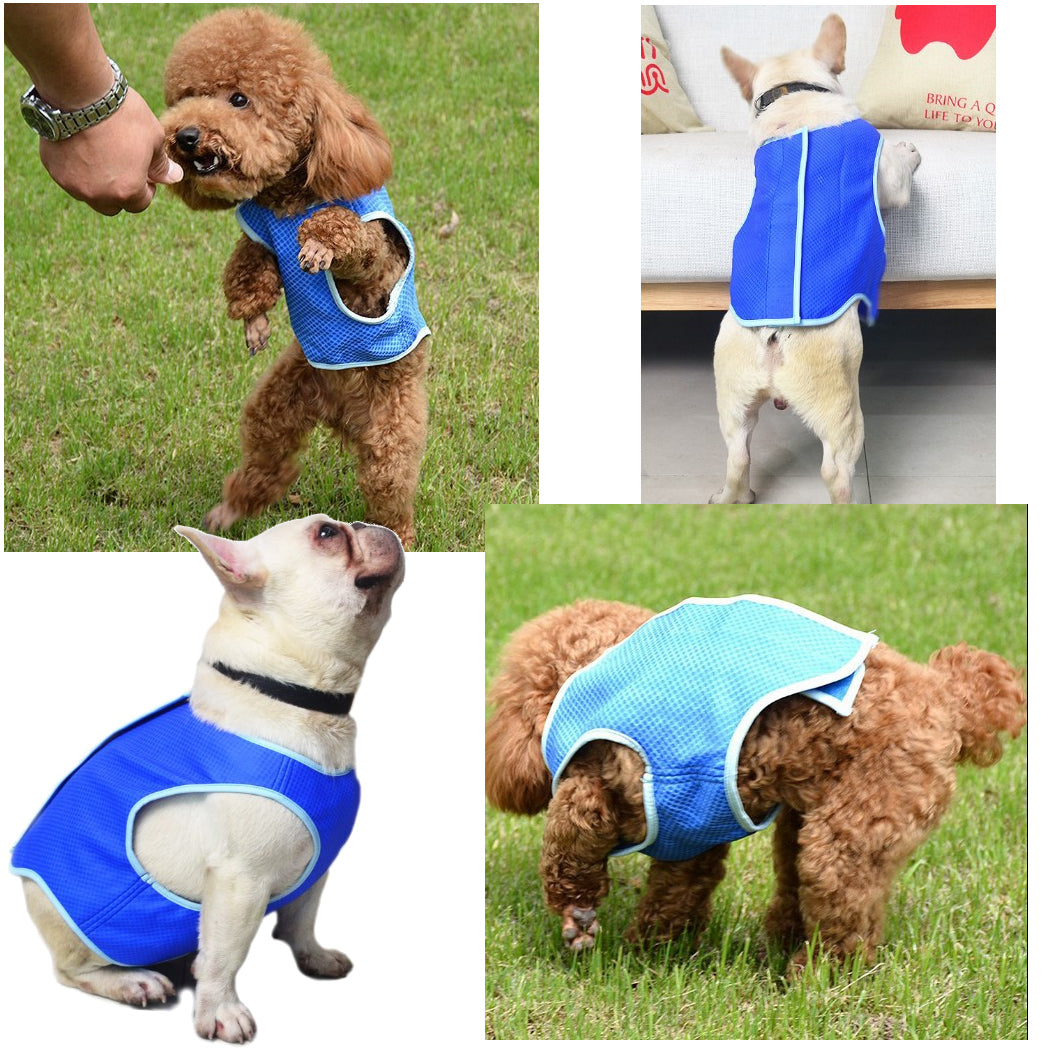 Dog Summer Cooling Vest