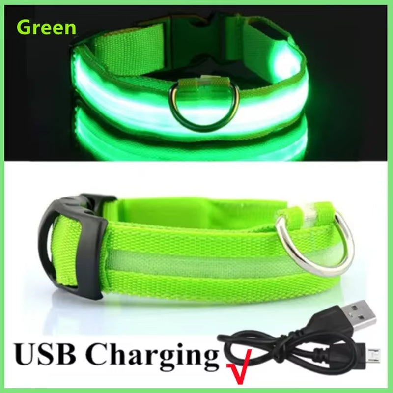 USB Charging LED Dog Collar Dog Safety Night Light 