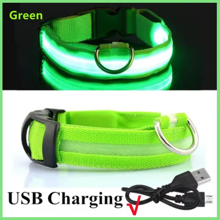 USB Charging LED Dog Collar Dog Safety Night Light 