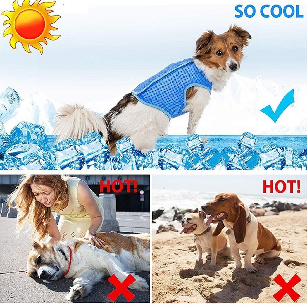 Dog Summer Cooling Vest