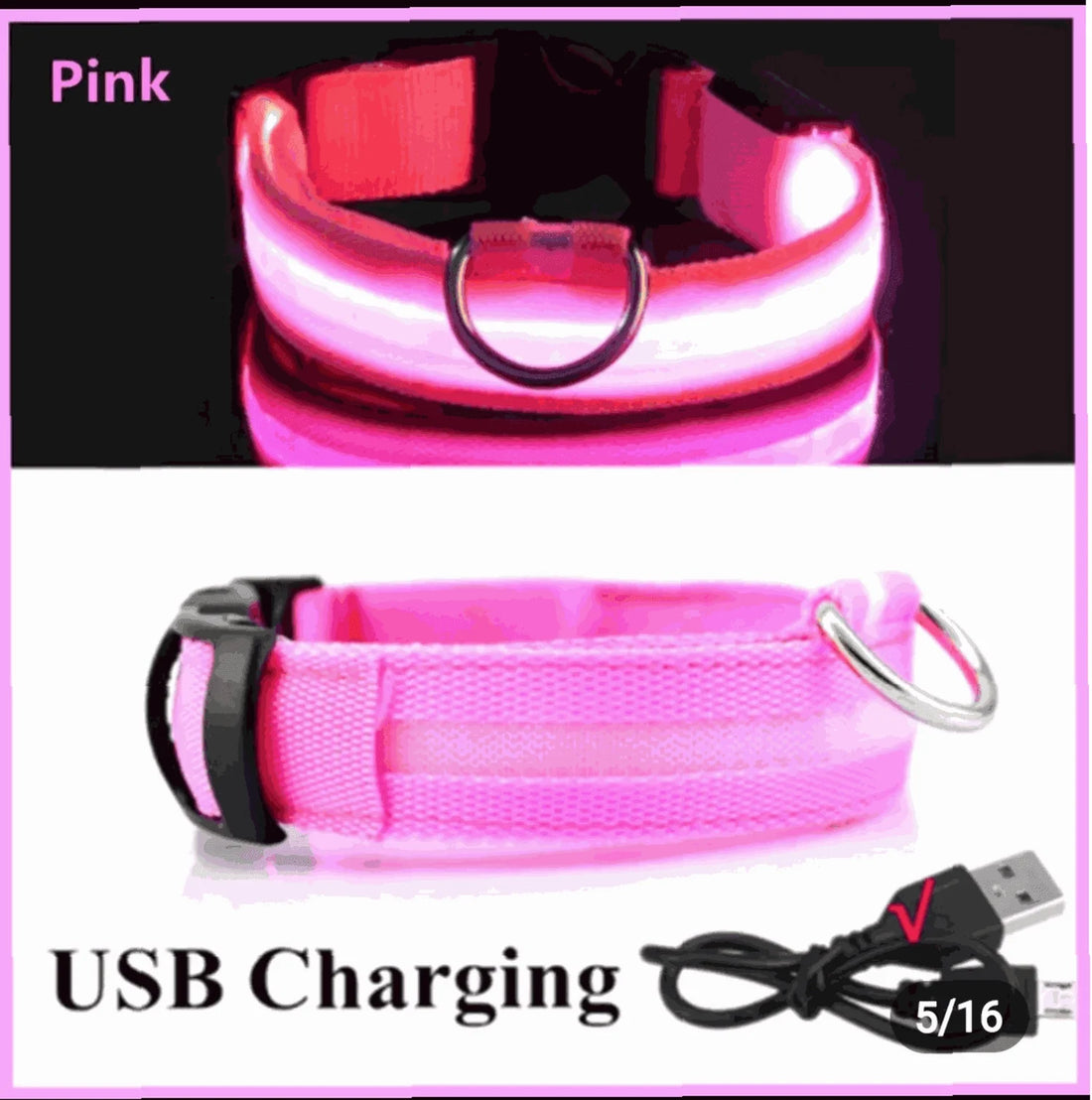 Rechargeable L.E.D Light up Safety Dog Collar