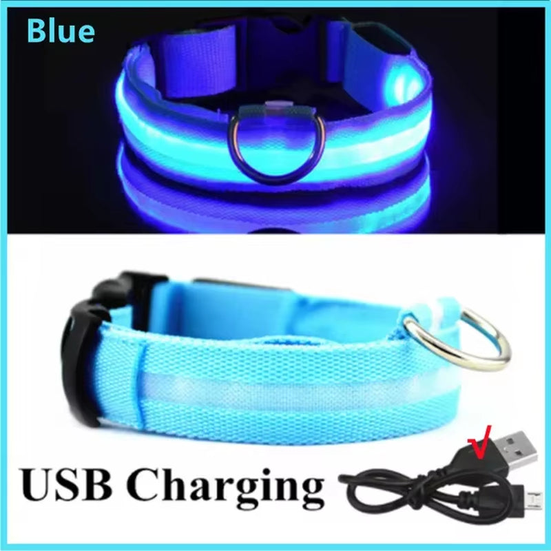 USB Charging LED Dog Collar Dog Safety Night Light 