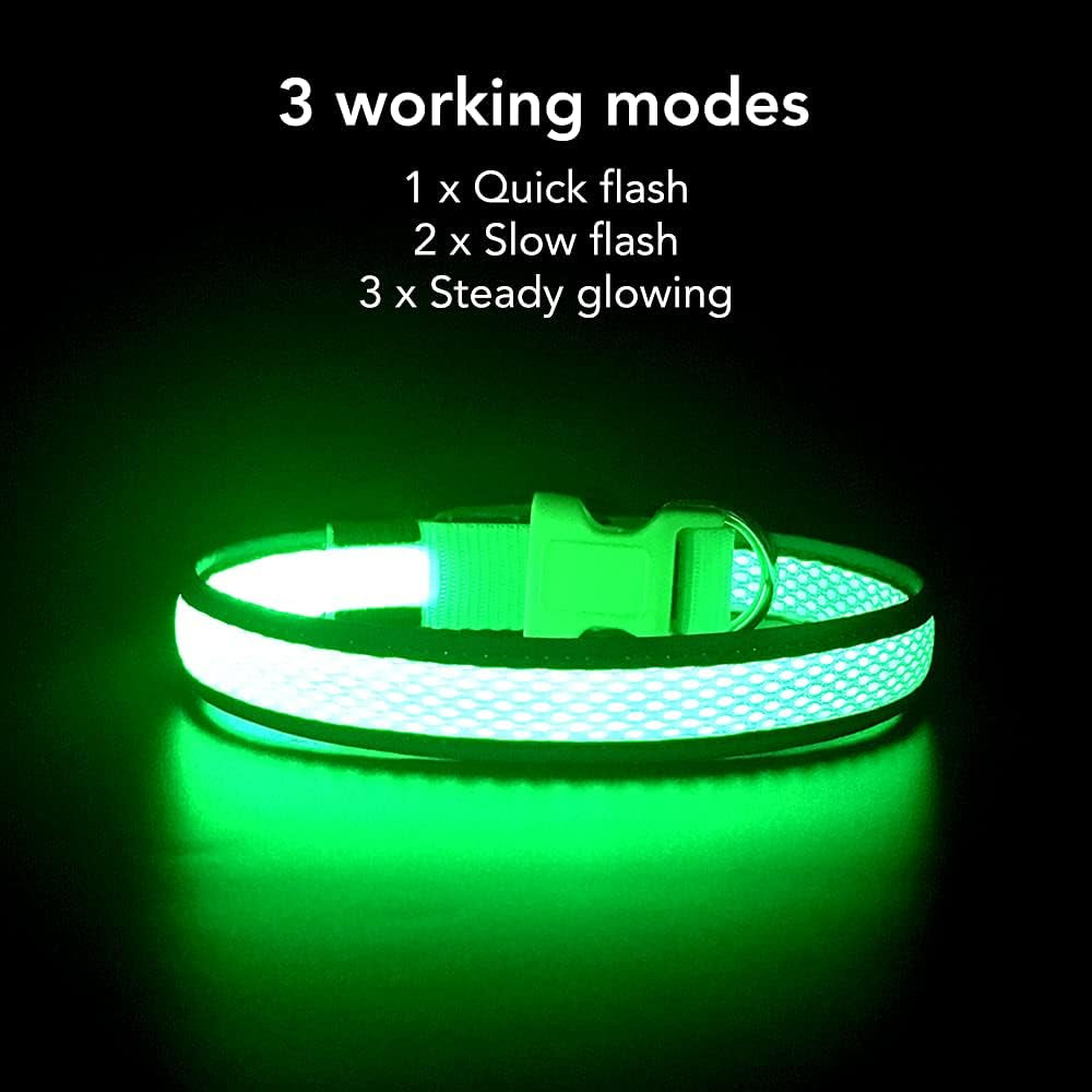 Light up Dog Collar, USB Rechargeable