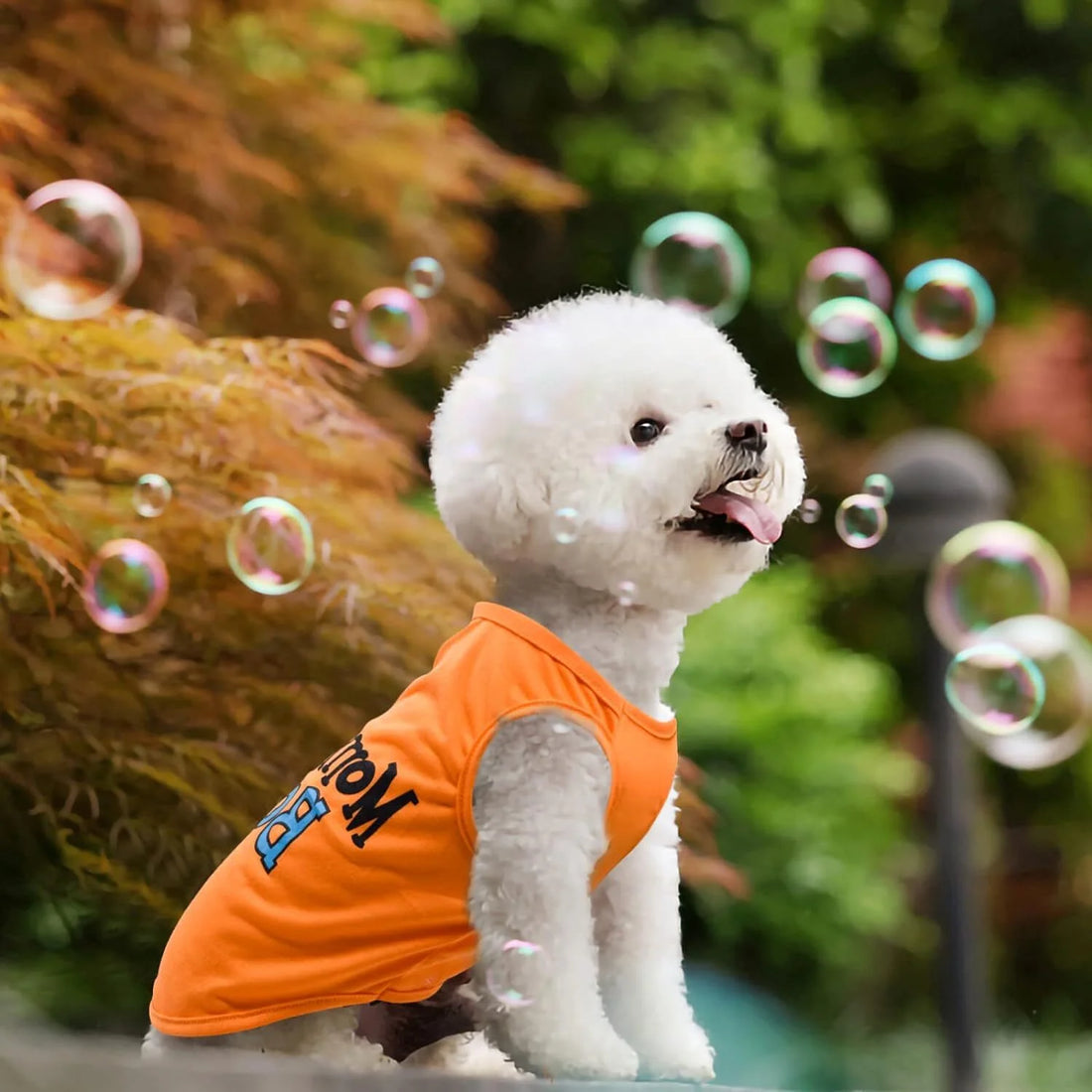 8 Pack Dog Clothes for Small Dogs Boy and Girl