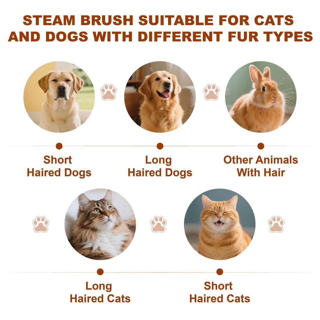 Cat Steam Brush, Dog Brush for Shedding, Pet Spray Hair Removal Comb, Pet Grooming Brush for Short & Long Haired Dogs & Cats,Spritz Defur Comb with Waterless Shampoo (White)