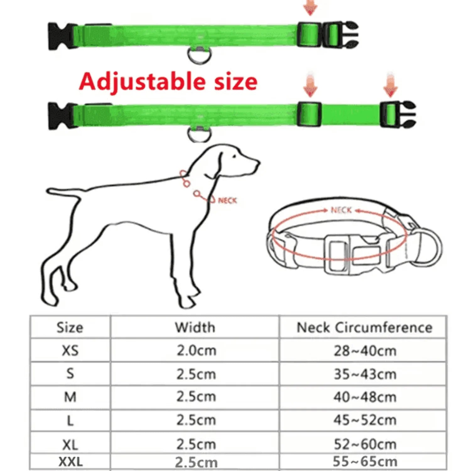 Rechargeable L.E.D Light up Safety Dog Collar