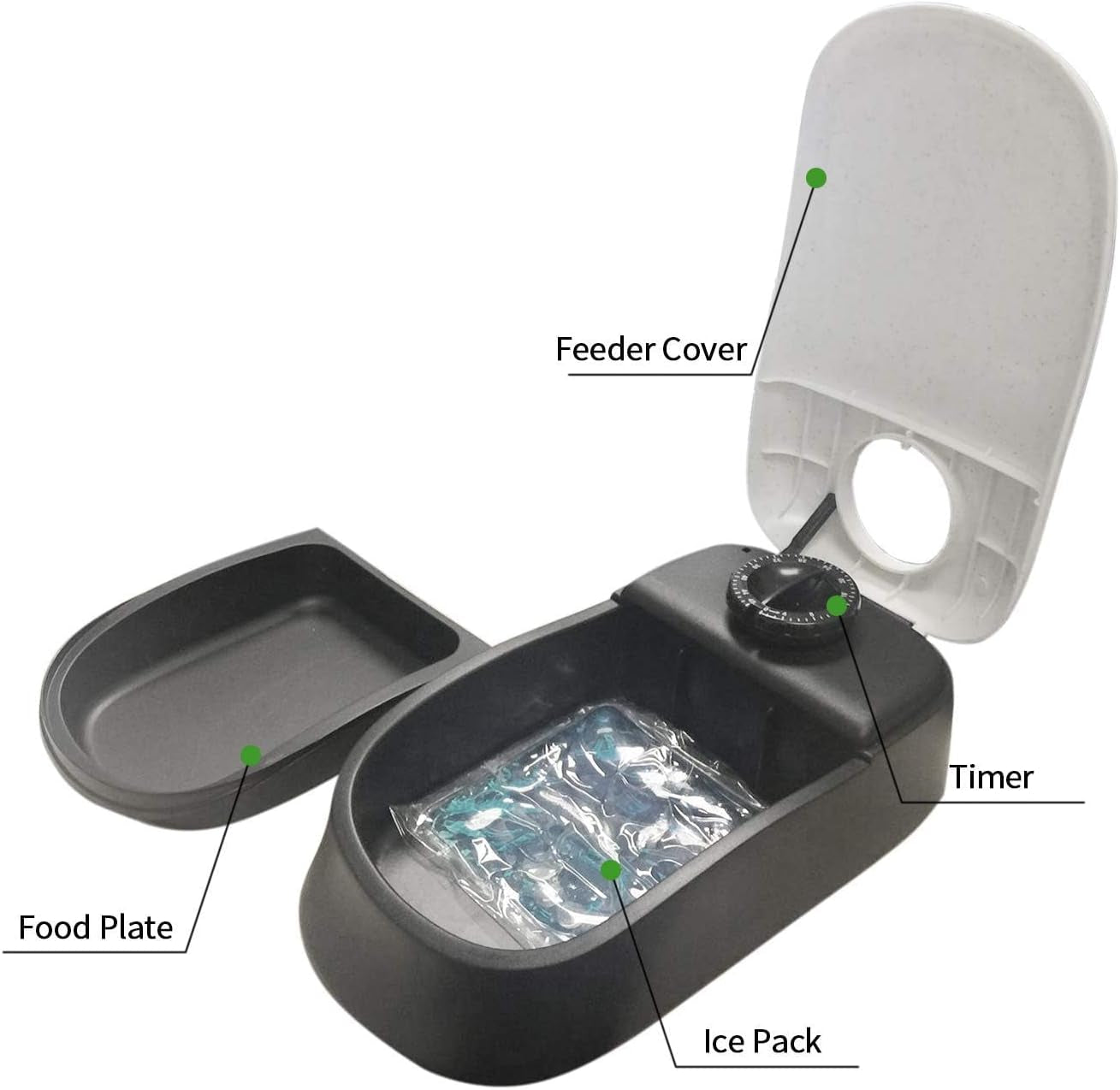 Automatic Pet Feeder for Dogs and Cats