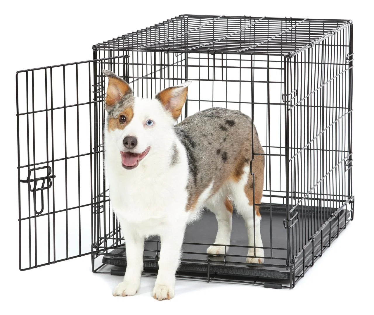 Wire Dog Crate, Single-Door, Divider and Leak-Proof Tray, Metal, Foldable, Durable, Black, 30"