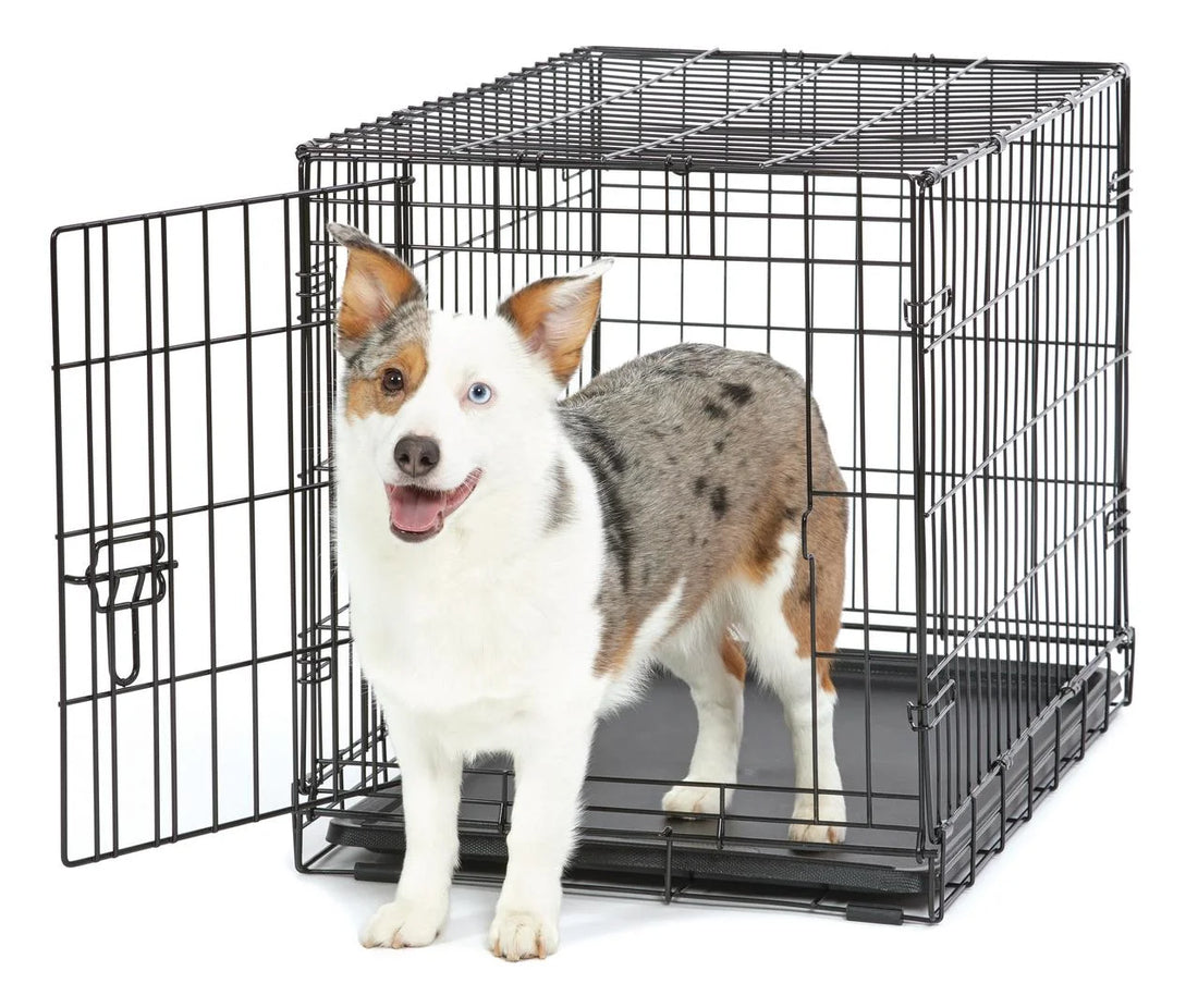 Wire Dog Crate, Single-Door, Divider and Leak-Proof Tray, Metal, Foldable, Durable, Black, 30"