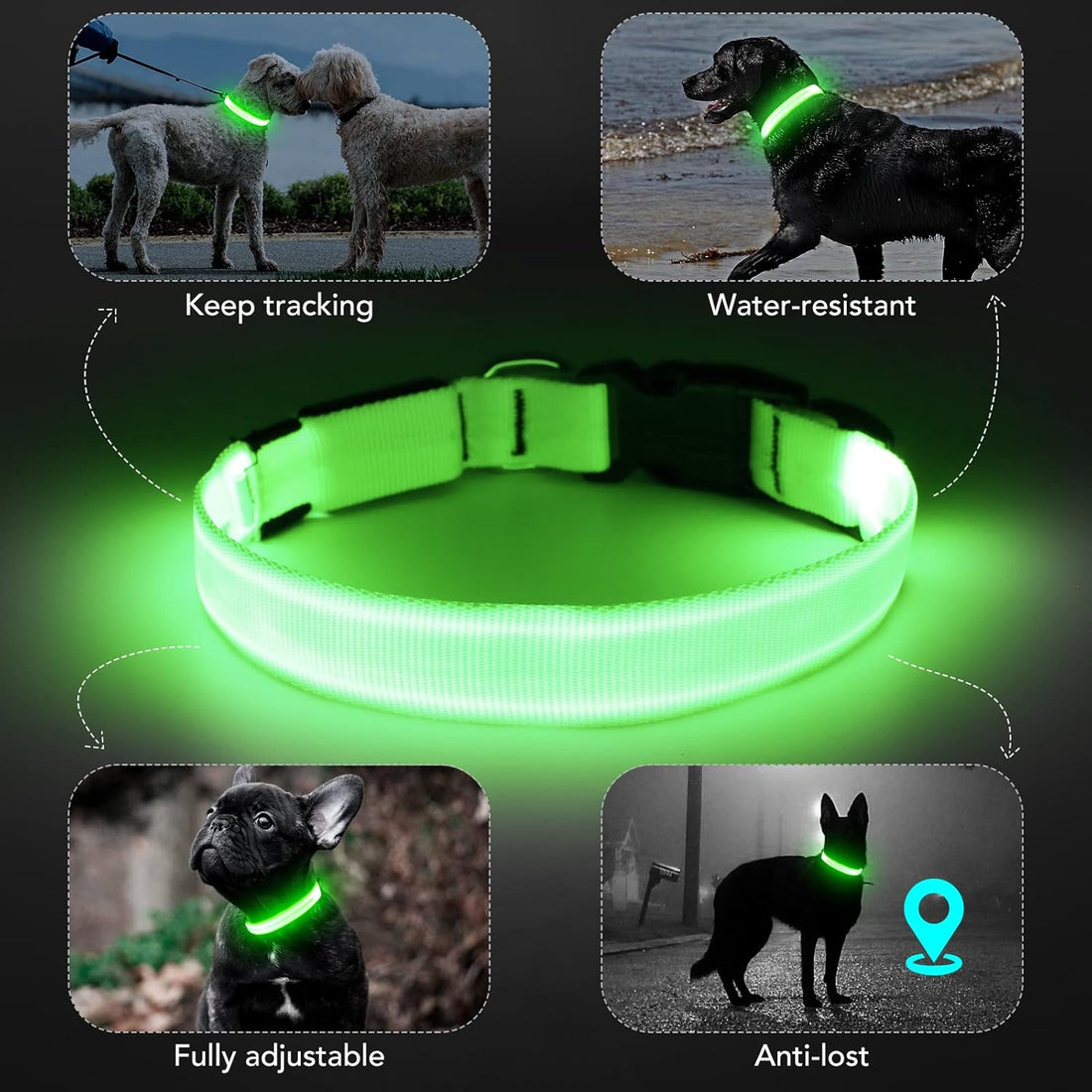 LED Dog Collar - Adjustable, Rechargeable, Waterproof
