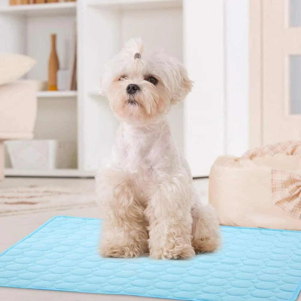 Summer Cooling Mat for Dogs,Ice Silk Pet Self Cooling Mat for Sleeping Indoor (19.7X24.4" , Blue)