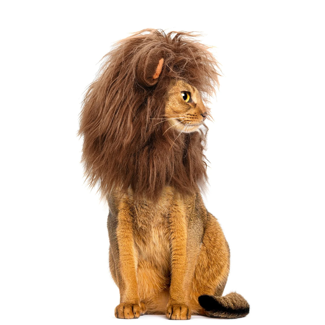 Lion Mane Wig for Cats, Funny Pet Cat Costumes for Halloween Christmas, Furry Pet Clothing Accessories (Size S, Coffee)