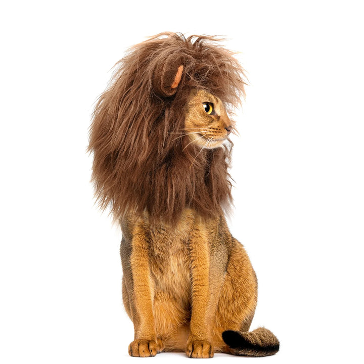 Lion Mane Wig for Cats, Funny Pet Cat Costumes for Halloween Christmas, Furry Pet Clothing Accessories (Size S, Coffee)