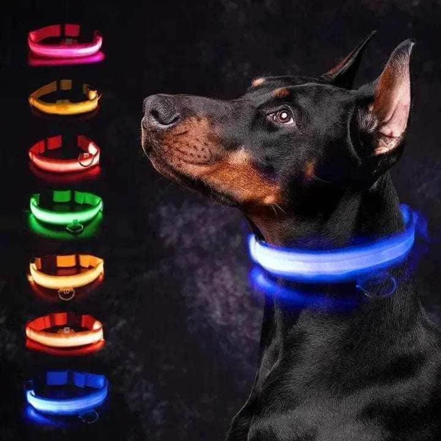 Rechargeable L.E.D Light up Safety Dog Collar
