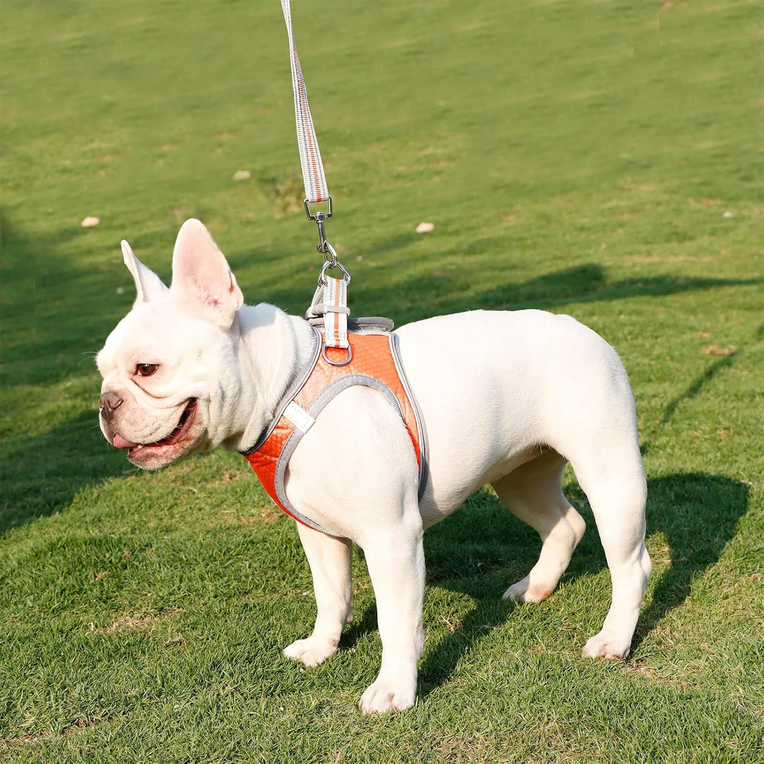 Dog Harness, Dog Harness and Leash Set, Pet Vest Harness, Puppy Cat Vest Harness Escape Proof, Chihuahua Harness, XXS Puppy Harness, Dog Vest Harnesses for Small Dogs Cats (A-1-Green, XXXS)