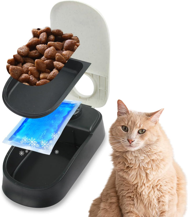 Automatic Pet Feeder for Dogs and Cats
