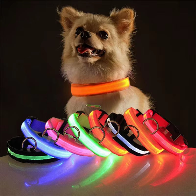 USB Charging LED Dog Collar Dog Safety Night Light 