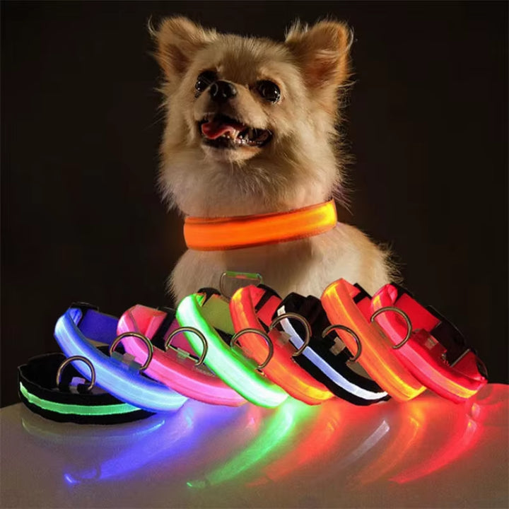 USB Charging LED Dog Collar Dog Safety Night Light 