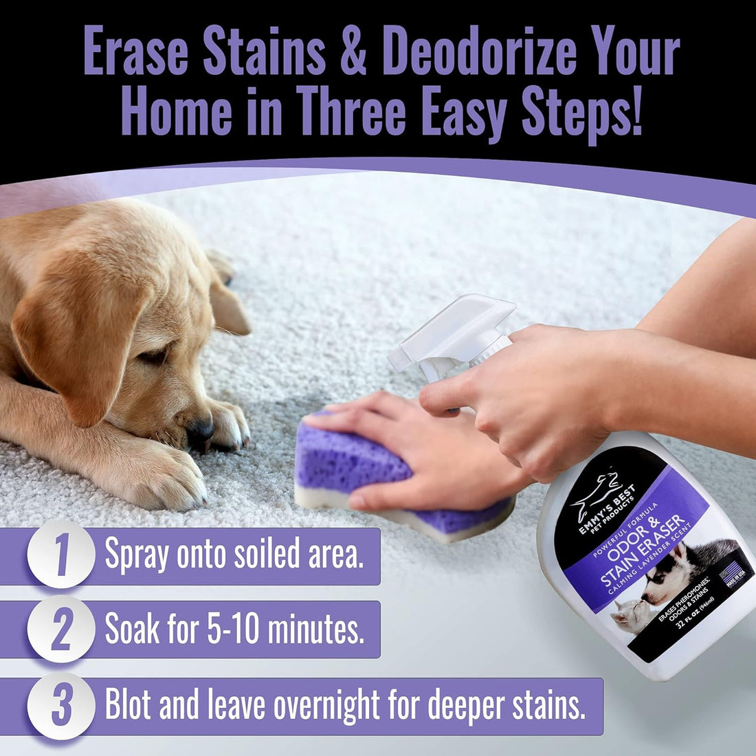 EBPP Odor & Stain Eraser - Made in the USA - Pet Odor Absorber and Room Deodorizer for Home Use - Odor Remover and Urine Odor Eliminator - Lavender Enzyme Carpet Cleaner