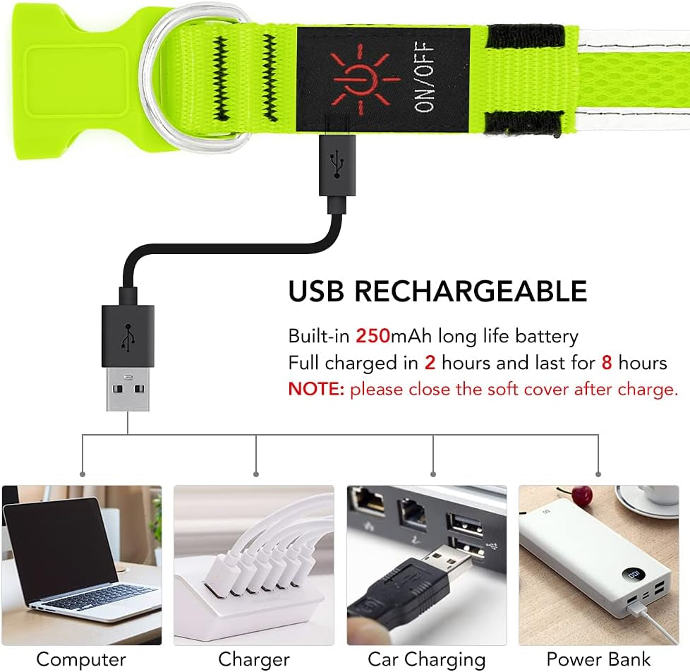 Light up Dog Collar, USB Rechargeable