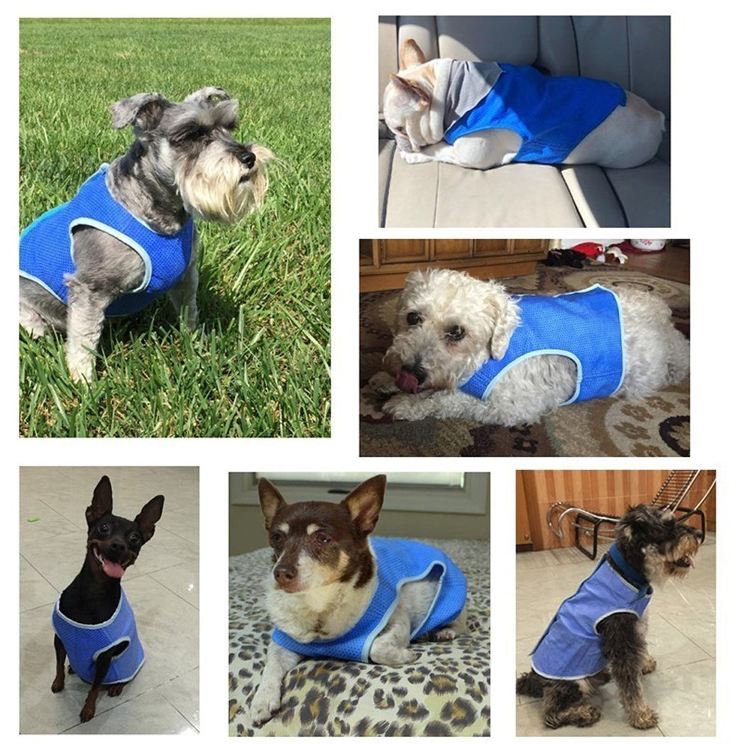 Dog Summer Cooling Vest