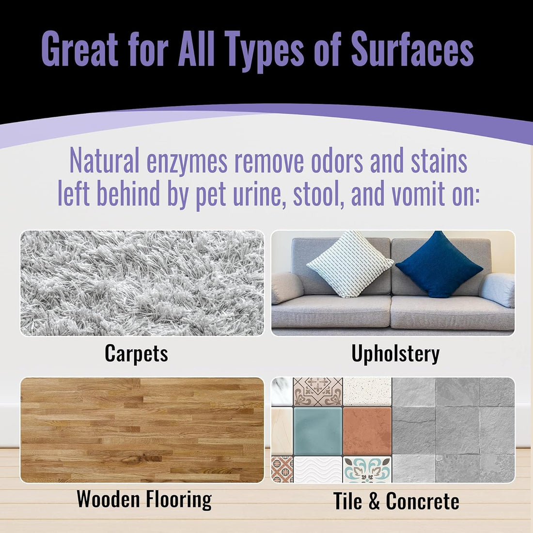 EBPP Odor & Stain Eraser - Made in the USA - Pet Odor Absorber and Room Deodorizer for Home Use - Odor Remover and Urine Odor Eliminator - Lavender Enzyme Carpet Cleaner