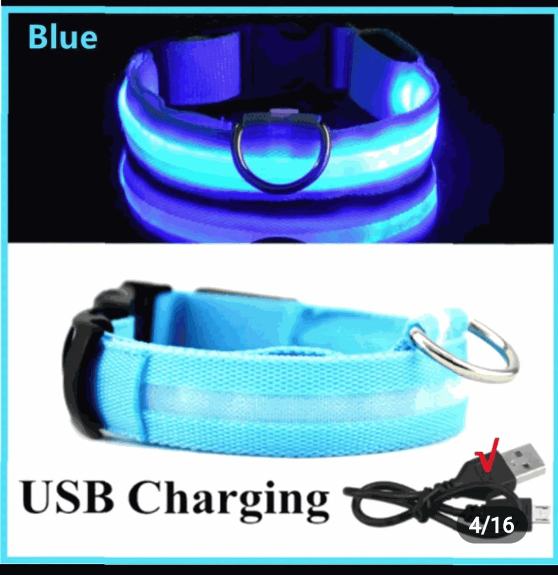 Rechargeable L.E.D Light up Safety Dog Collar