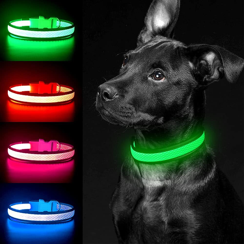 Light up Dog Collar, USB Rechargeable