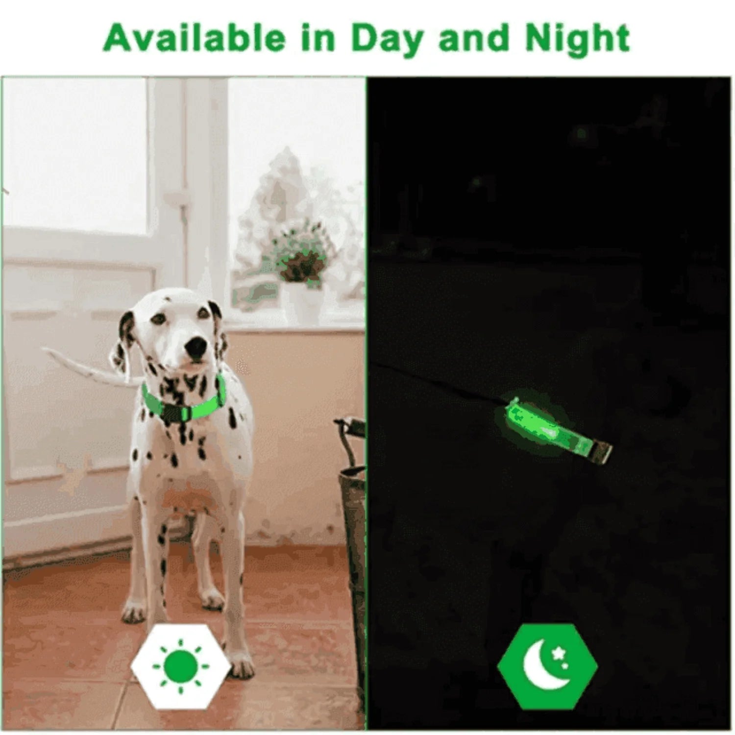 Rechargeable L.E.D Light up Safety Dog Collar