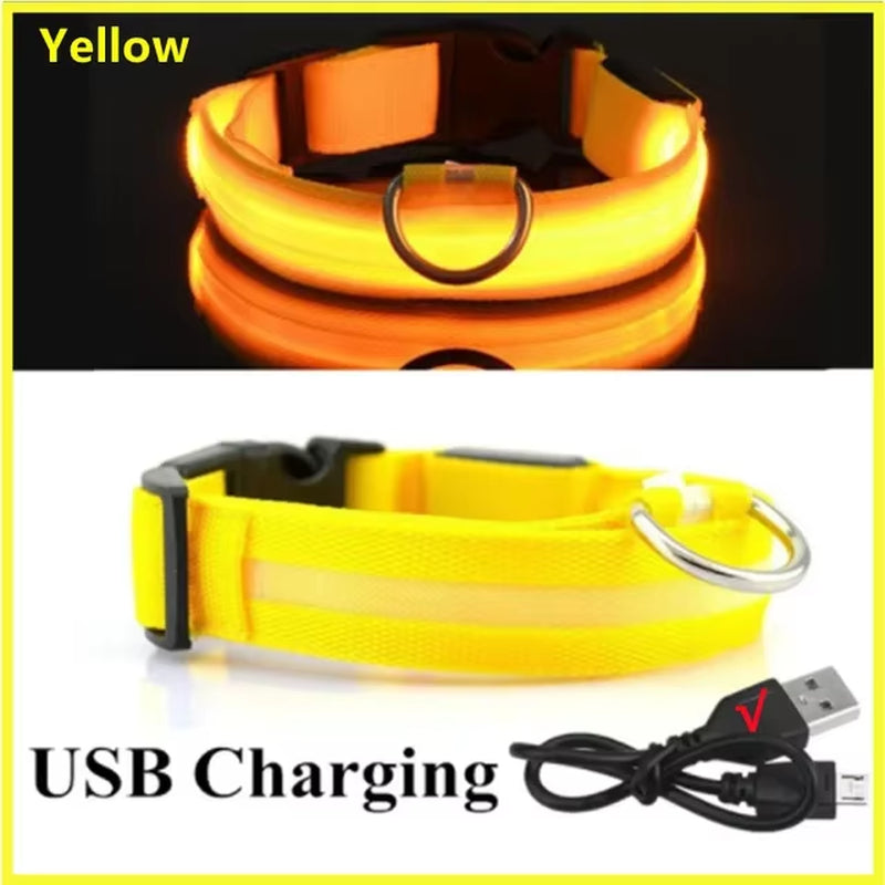 USB Charging LED Dog Collar Dog Safety Night Light 