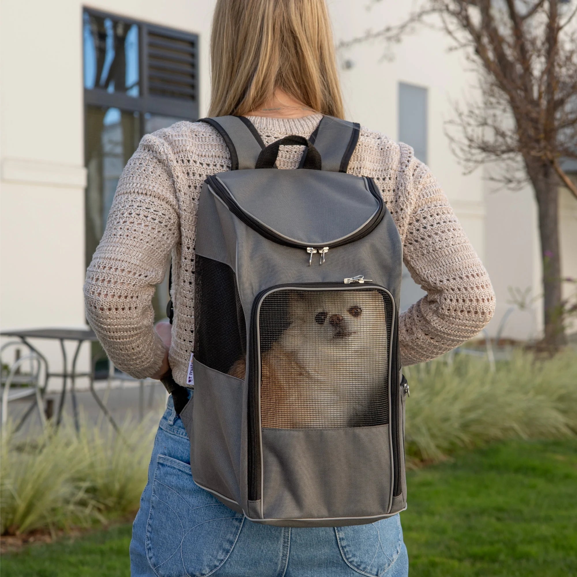 Medium Cat & Dog Travel Pet Backpack, Gray, 16 Lb Limit