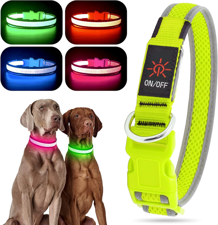 Light up Dog Collar, USB Rechargeable