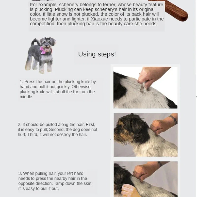 Dog Cat Pet Grooming Brush 