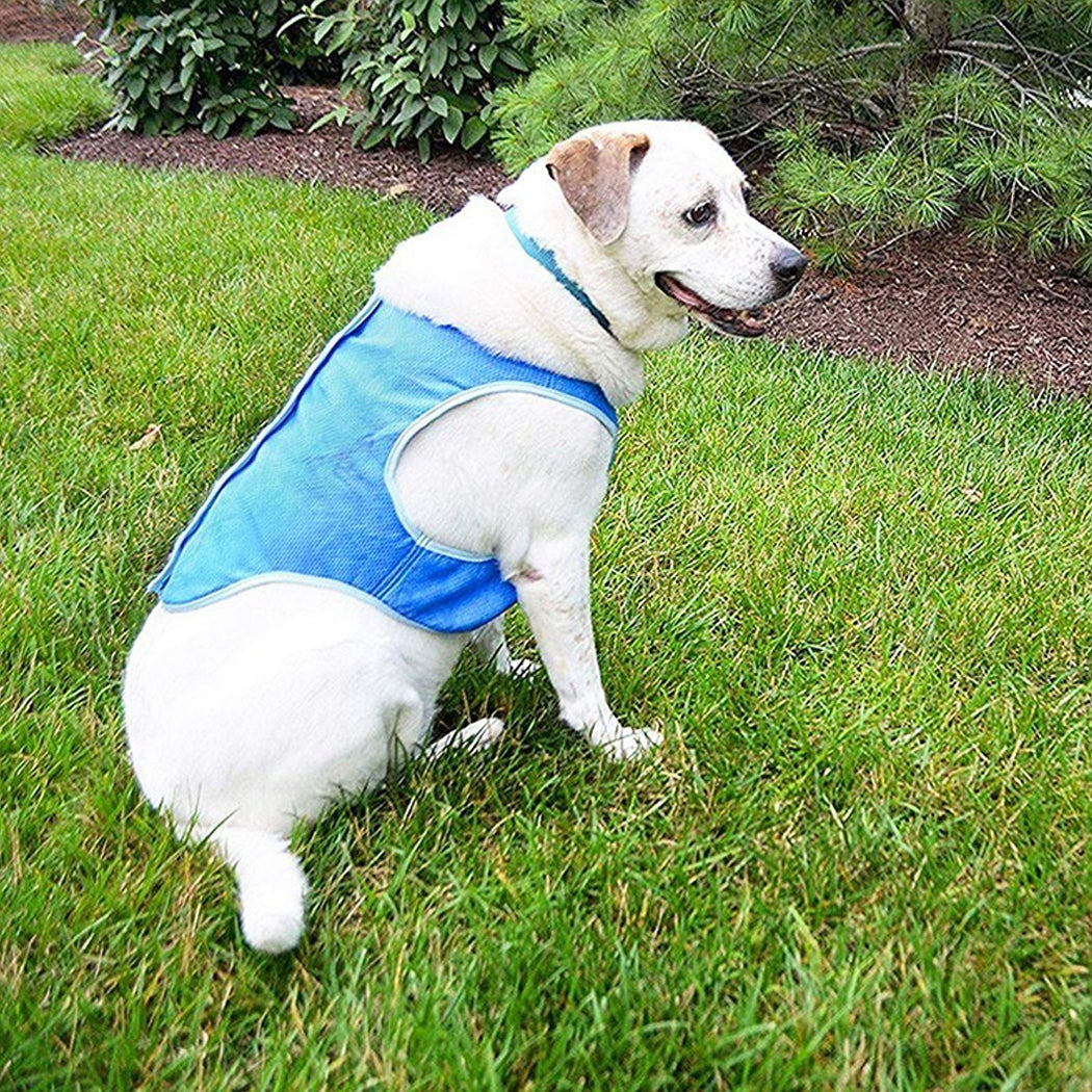 Dog Summer Cooling Vest