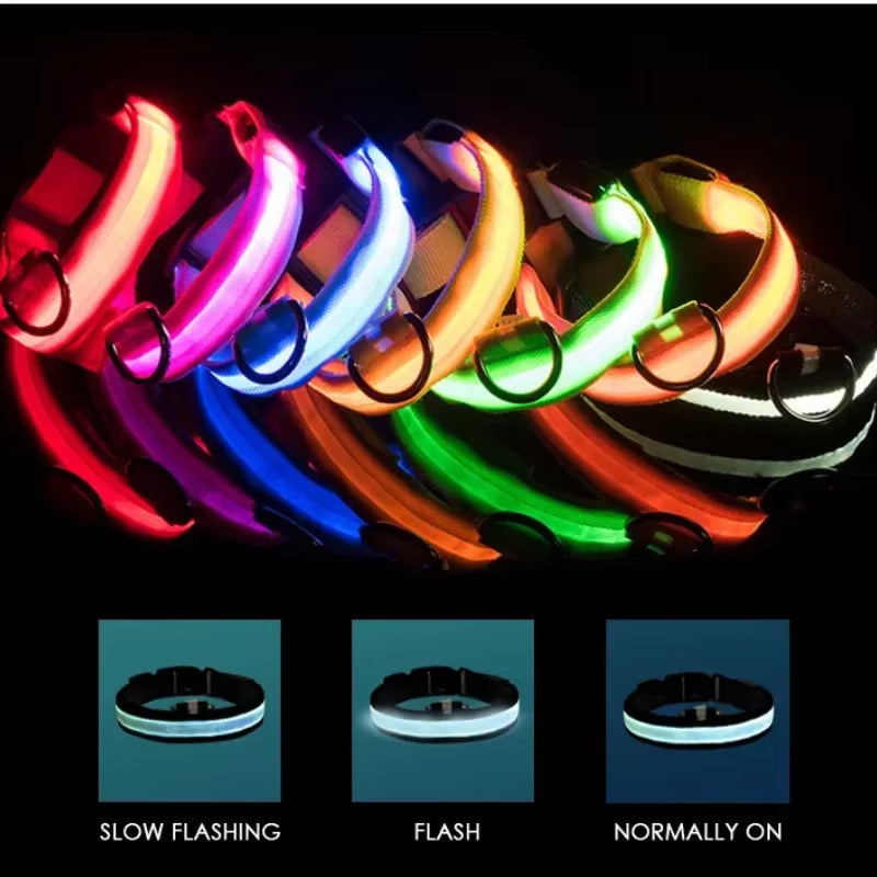 USB Charging LED Dog Collar Dog Safety Night Light 