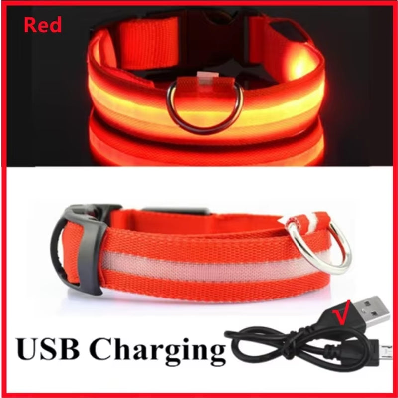 USB Charging LED Dog Collar Dog Safety Night Light 