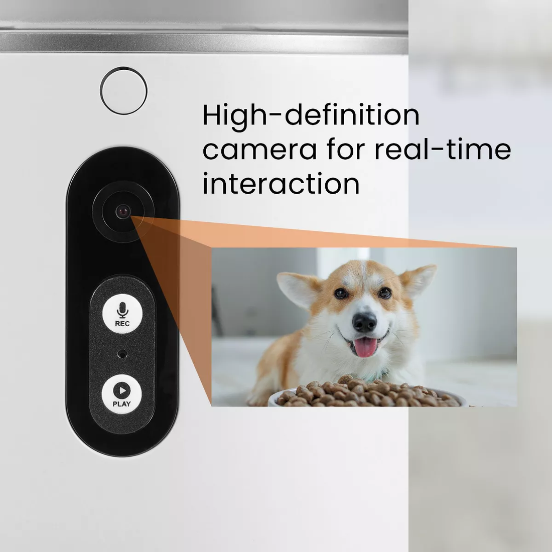 Smart Pet Feeder - Automatic Cat Feeder and Dog Feeder