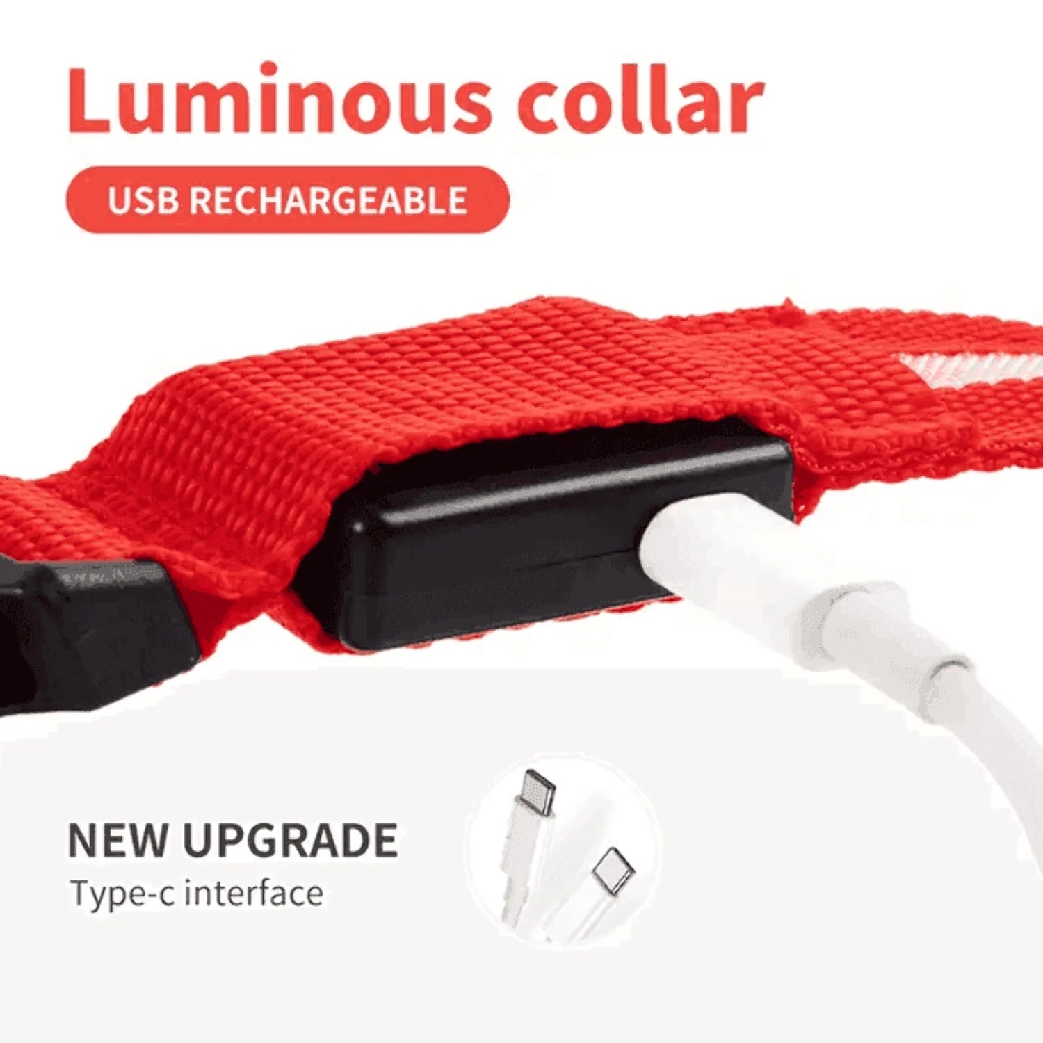 Rechargeable L.E.D Light up Safety Dog Collar