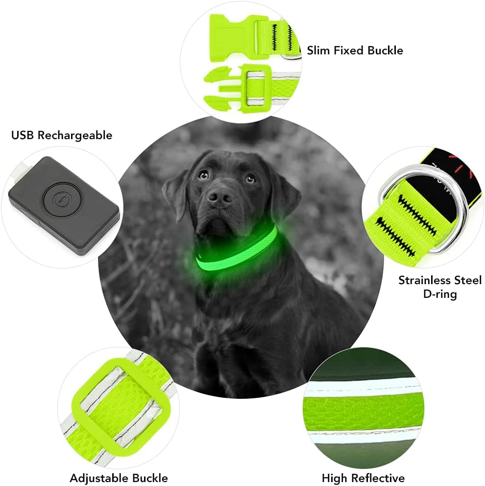 Light up Dog Collar, USB Rechargeable