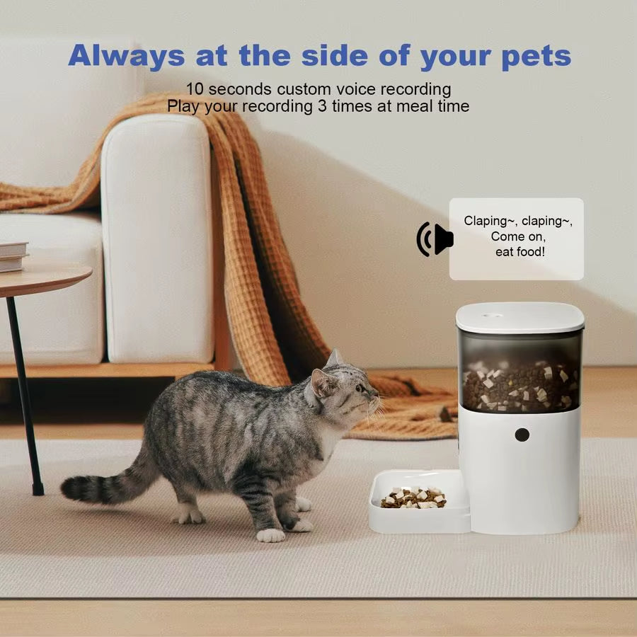 Automatic Cat Feeder