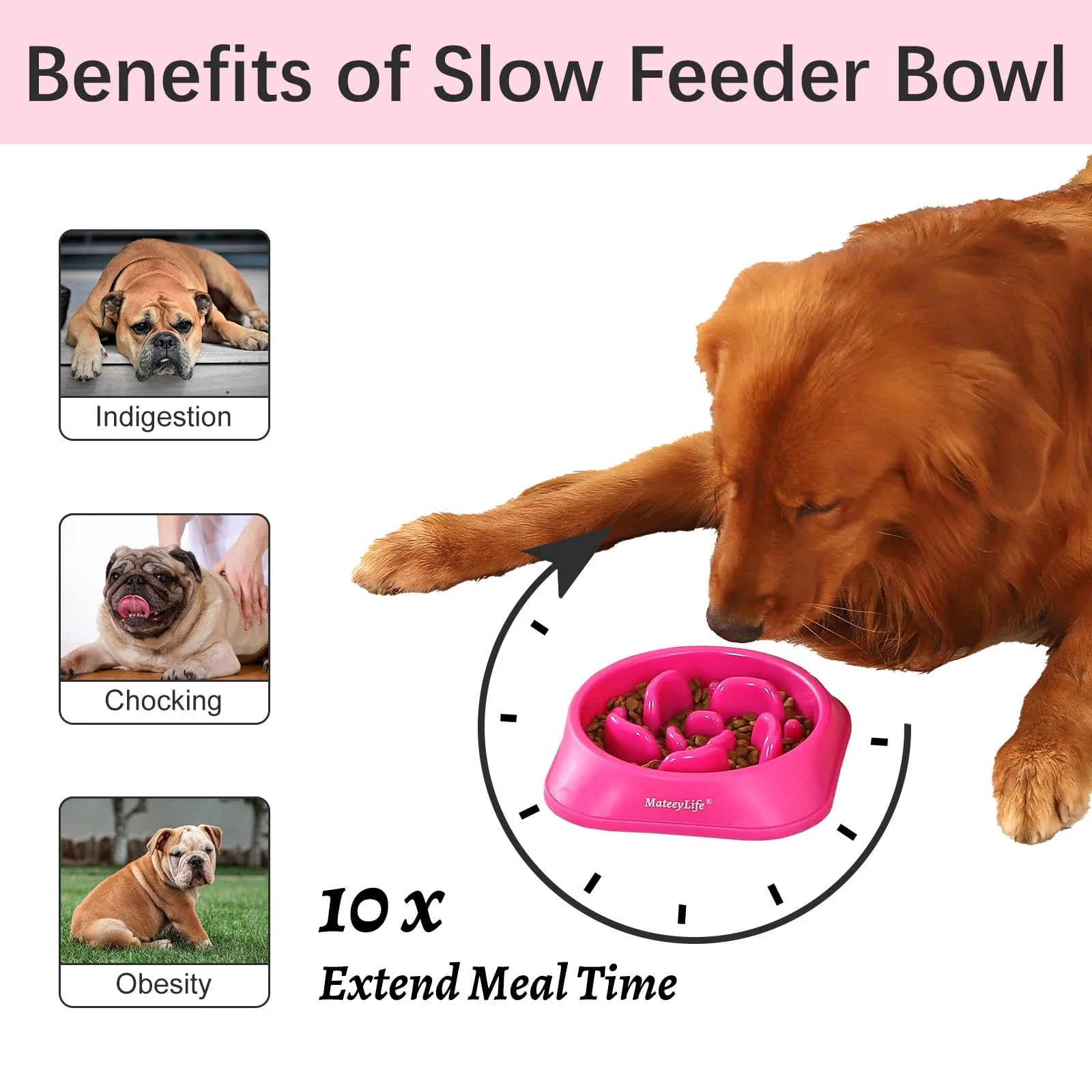 Slow Feeder Dog Bowls, Anti-Choking Puzzle Dog Food Bowls, Non Slip Interactive Dog Feeding Bowls That Slow down Eating, Bloat Stop Maze Dog Dishes Dog Feeder for Medium Large Breeds Purple