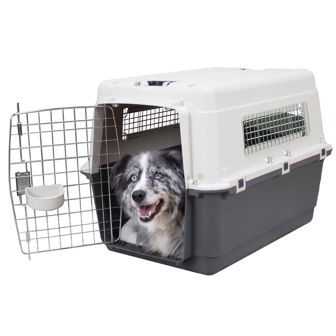 Airline Approved Plastic Dog Kennel with Wheels, Large
