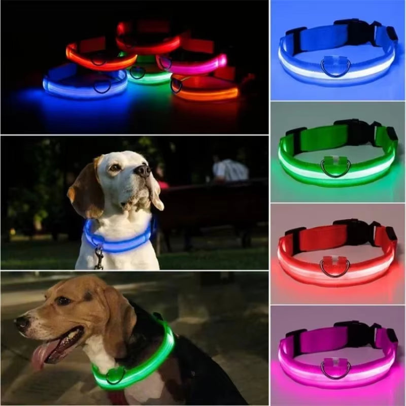 USB Charging LED Dog Collar Dog Safety Night Light 