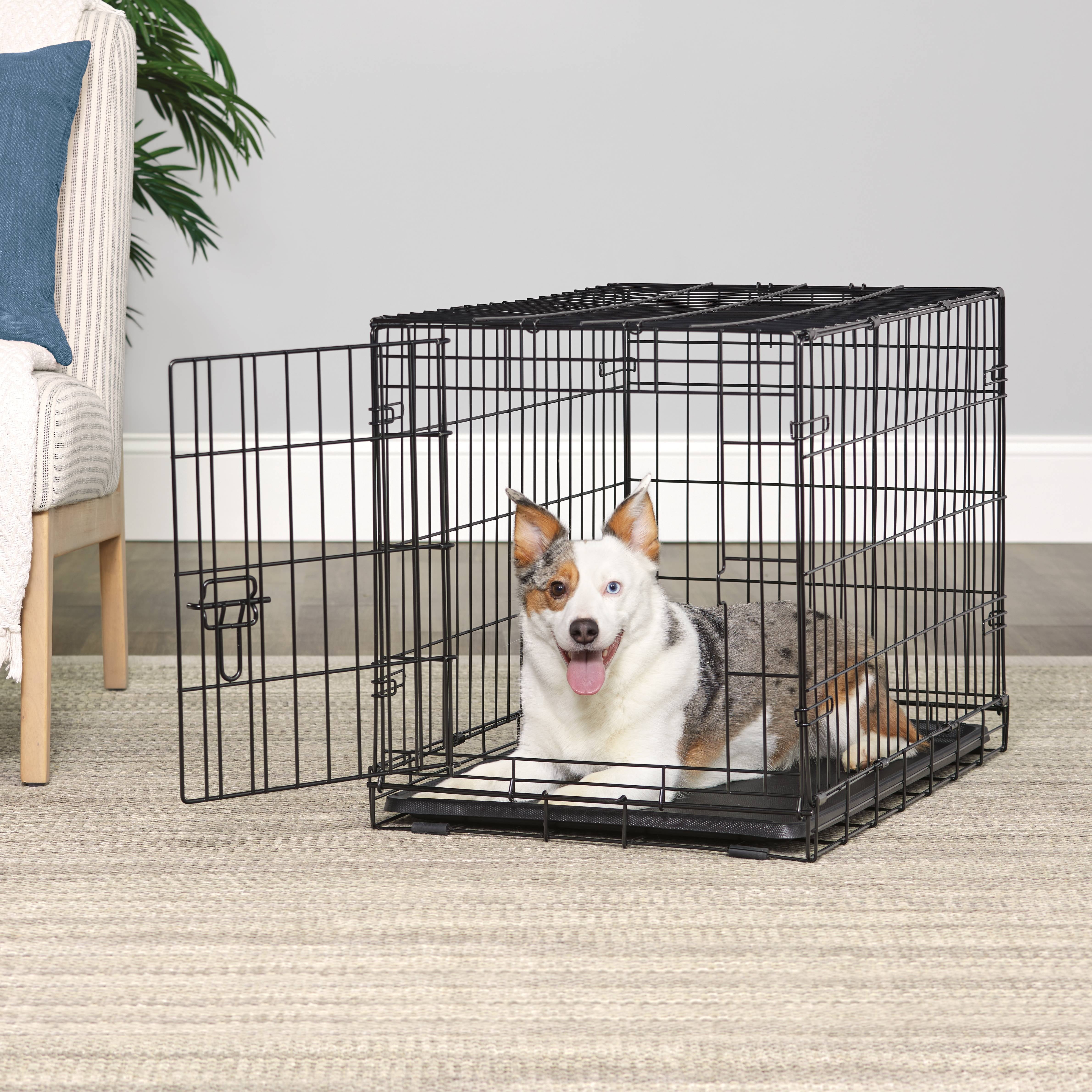 Wire Dog Crate, Single-Door, Divider and Leak-Proof Tray, Metal, Foldable, Durable, Black, 30"
