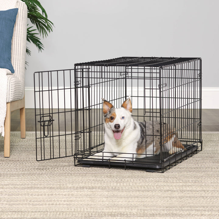 Wire Dog Crate, Single-Door, Divider and Leak-Proof Tray, Metal, Foldable, Durable, Black, 30"
